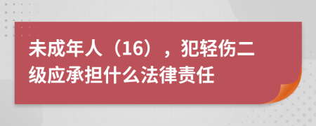 未成年人（16），犯轻伤二级应承担什么法律责任