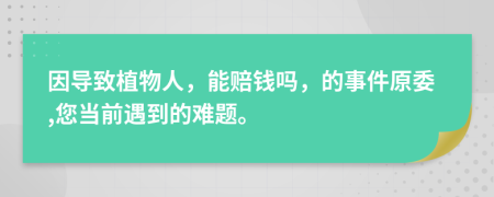 因导致植物人，能赔钱吗，的事件原委,您当前遇到的难题。