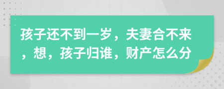 孩子还不到一岁，夫妻合不来，想，孩子归谁，财产怎么分