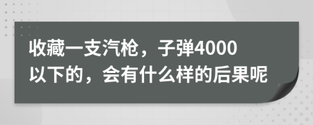 收藏一支汽枪，子弹4000以下的，会有什么样的后果呢