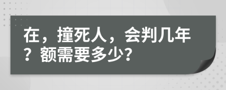 在，撞死人，会判几年？额需要多少？