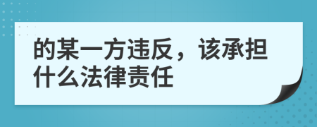 的某一方违反，该承担什么法律责任