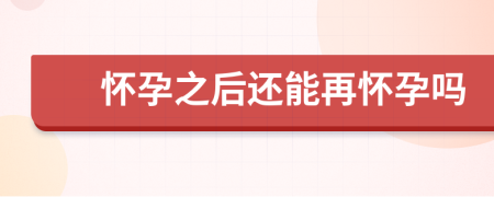 怀孕之后还能再怀孕吗