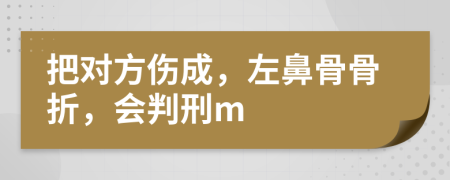 把对方伤成，左鼻骨骨折，会判刑m