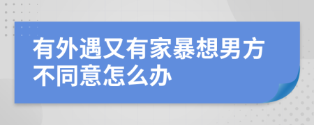 有外遇又有家暴想男方不同意怎么办