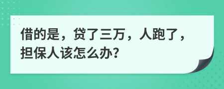 借的是，贷了三万，人跑了，担保人该怎么办？