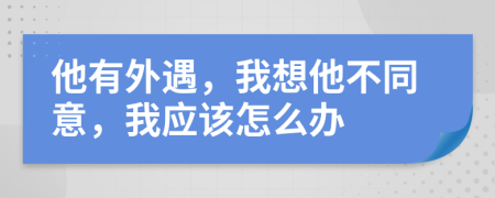 他有外遇，我想他不同意，我应该怎么办