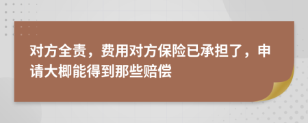 对方全责，费用对方保险已承担了，申请大楖能得到那些赔偿