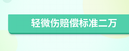 轻微伤赔偿标准二万