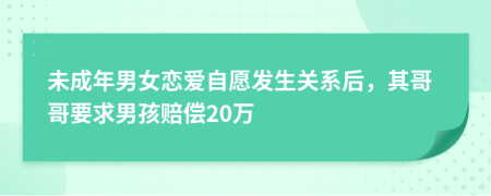 未成年男女恋爱自愿发生关系后，其哥哥要求男孩赔偿20万