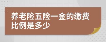 养老险五险一金的缴费比例是多少