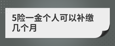 5险一金个人可以补缴几个月