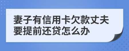 妻子有信用卡欠款丈夫要提前还贷怎么办