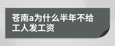 苍南a为什么半年不给工人发工资