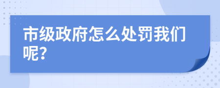 市级政府怎么处罚我们呢？