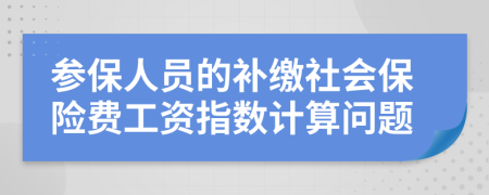 参保人员的补缴社会保险费工资指数计算问题