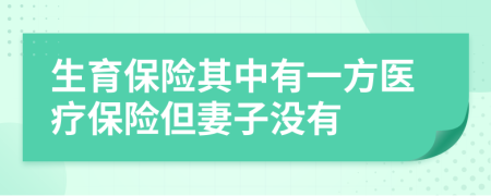 生育保险其中有一方医疗保险但妻子没有