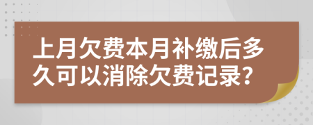 上月欠费本月补缴后多久可以消除欠费记录？