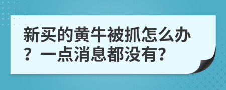 新买的黄牛被抓怎么办？一点消息都没有？