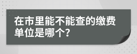 在市里能不能查的缴费单位是哪个？