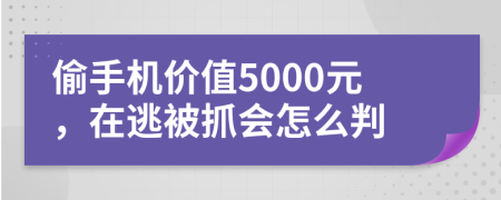 偷手机价值5000元，在逃被抓会怎么判