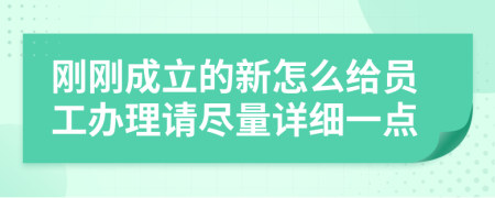 刚刚成立的新怎么给员工办理请尽量详细一点