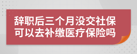 辞职后三个月没交社保可以去补缴医疗保险吗