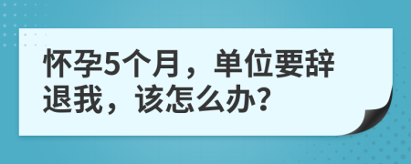 怀孕5个月，单位要辞退我，该怎么办？