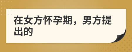 在女方怀孕期，男方提出的