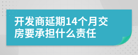 开发商延期14个月交房要承担什么责任