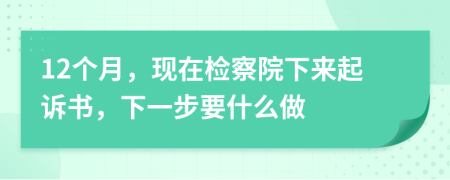 12个月，现在检察院下来起诉书，下一步要什么做