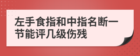 左手食指和中指名断一节能评几级伤残