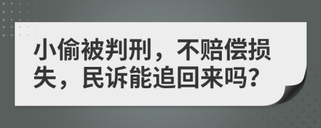 小偷被判刑，不赔偿损失，民诉能追回来吗？