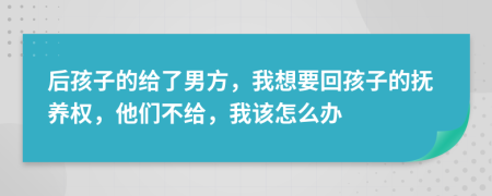 后孩子的给了男方，我想要回孩子的抚养权，他们不给，我该怎么办