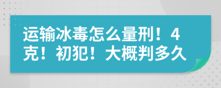 运输冰毒怎么量刑！4克！初犯！大概判多久