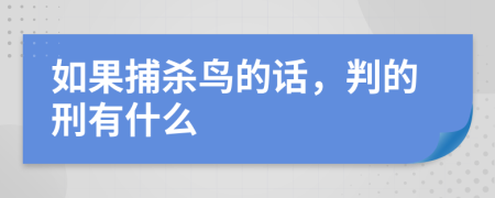 如果捕杀鸟的话，判的刑有什么