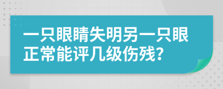 一只眼睛失明另一只眼正常能评几级伤残？