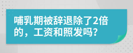 哺乳期被辞退除了2倍的，工资和照发吗？