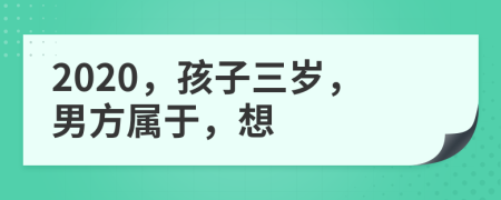 2020，孩子三岁，男方属于，想