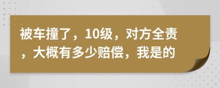 被车撞了，10级，对方全责，大概有多少赔偿，我是的