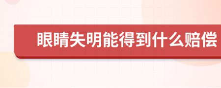 眼睛失明能得到什么赔偿