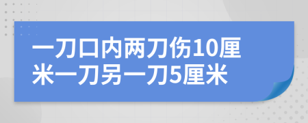 一刀口内两刀伤10厘米一刀另一刀5厘米