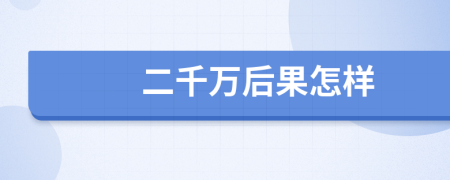 二千万后果怎样