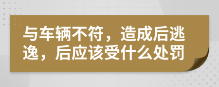 与车辆不符，造成后逃逸，后应该受什么处罚