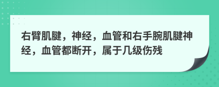 右臂肌腱，神经，血管和右手腕肌腱神经，血管都断开，属于几级伤残