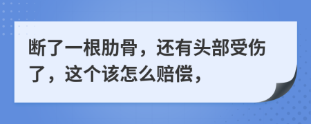 断了一根肋骨，还有头部受伤了，这个该怎么赔偿，