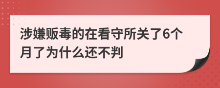 涉嫌贩毒的在看守所关了6个月了为什么还不判