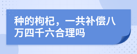 种的枸杞，一共补偿八万四千六合理吗