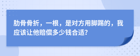 肋骨骨折，一根，是对方用脚踢的，我应该让他赔偿多少钱合适？