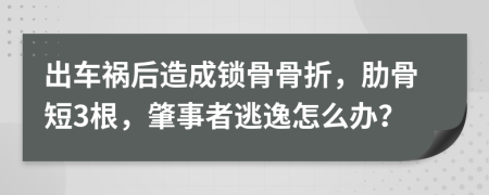 出车祸后造成锁骨骨折，肋骨短3根，肇事者逃逸怎么办？